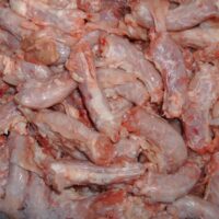 Kragborg – Kyllingehalse